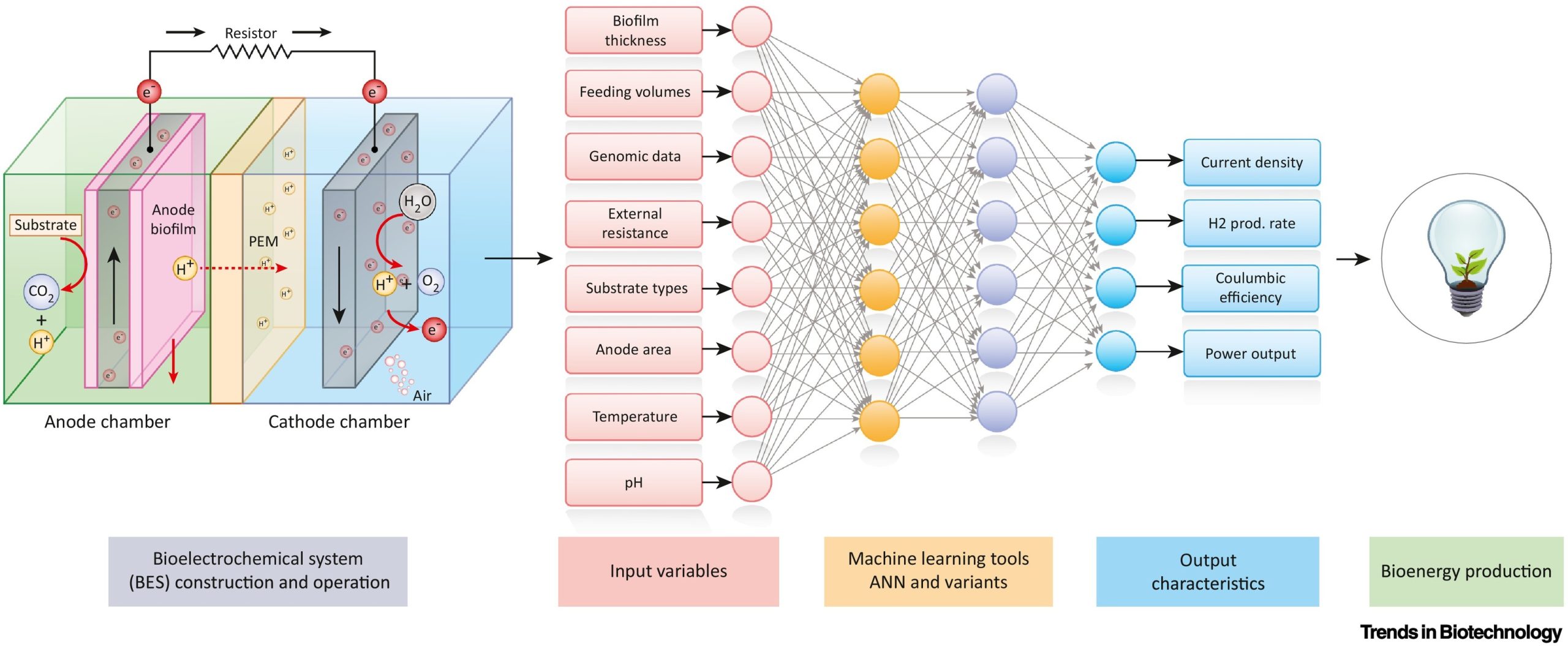 artificial intelligence bioelectrochemical system
