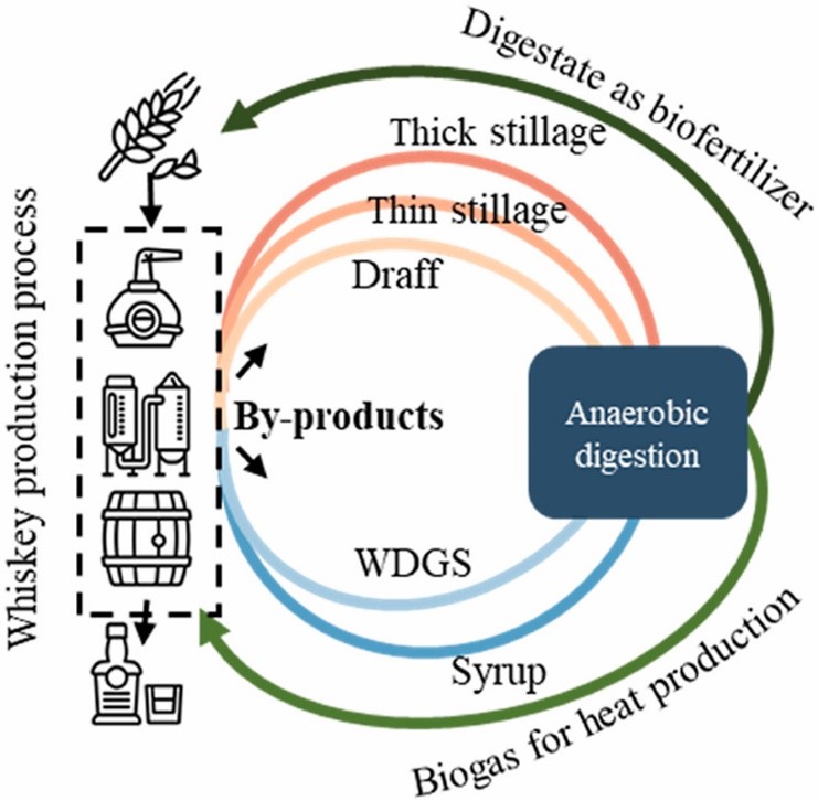 Green whiskey production