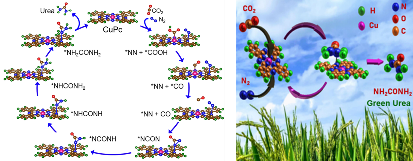 green urea synthesis