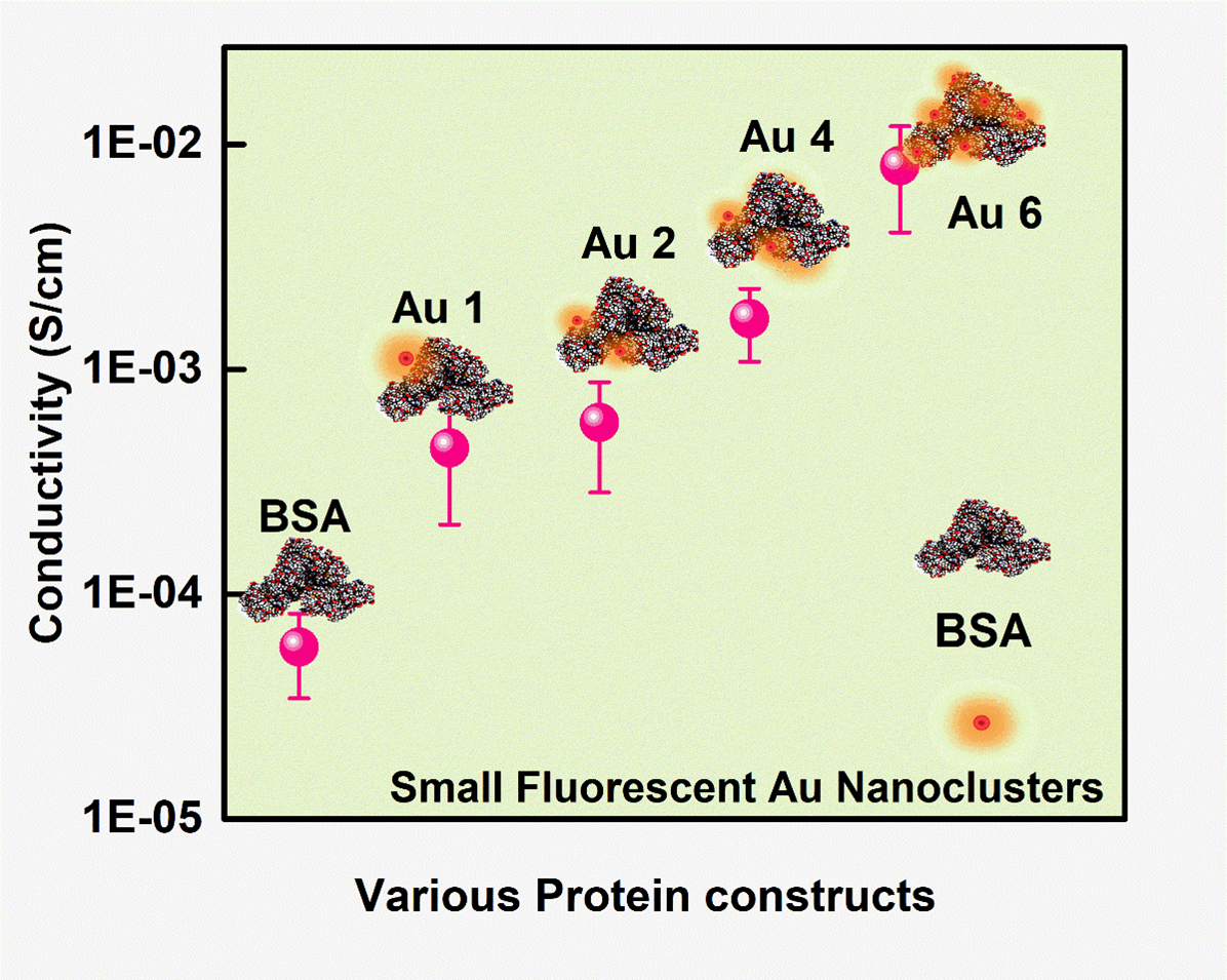 protein nanocluster