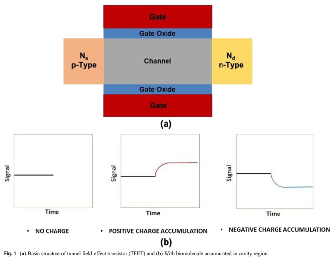 tunnel field effect transistor