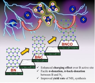 nh3-synthesis