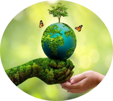 Human well-being and environment